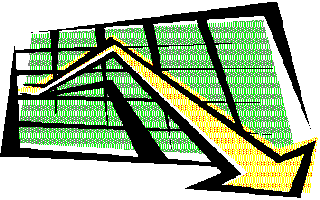 Credit report laws